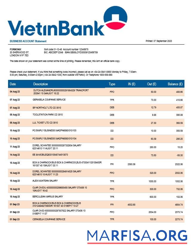 Printable Vietin Bank firm account statement Word and PDF template